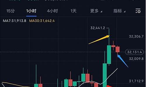 比特币年度K线图解读：价格波动背后的因素探究