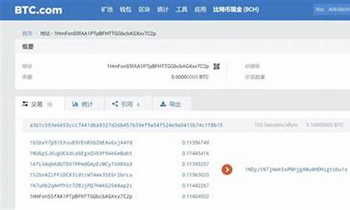 BTC交易查询地址：掌握这个技巧，轻松查看比特币交易历史