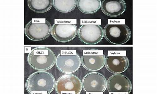 Mycelium费率官方网址-Mycelium费率官网下载-Mycelium费率安卓版下载(费率在线计算)