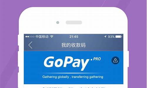 gopay支付平台下载(okpay钱包支付平台下载)