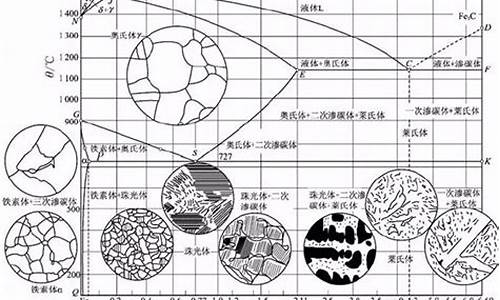 钢铁金相分析知识点总结(钢铁的金相组织的共同特点有哪些)