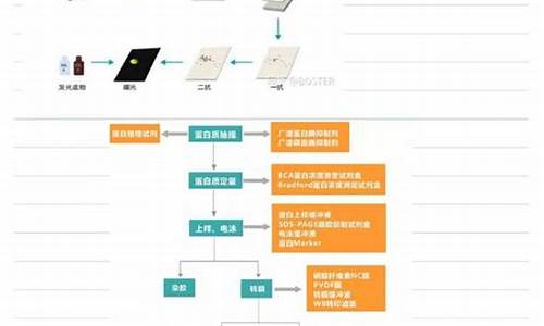 了解web包的优势：为什么比特币用户应该考虑切换？(web.bit)(图1)